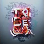 Il testo NEVER STOP di TRIBEQA è presente anche nell'album Experiment (2016)