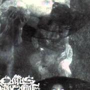 Il testo INTO THE FIELD OF SCREAMING SOULS dei CULTUS SANGUINE è presente anche nell'album Cultus sanguine (1994)