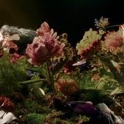 Il testo FLOWERS di NATHANIEL RATELIFF è presente anche nell'album Flowers (2025)