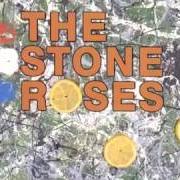 Il testo BYE BYE BADMAN dei THE STONE ROSES è presente anche nell'album The stone roses (2004)