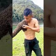 Til every petal drops