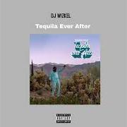 Il testo DON'T BE A BABY di ADEKUNLE GOLD è presente anche nell'album Tequila ever after (2023)