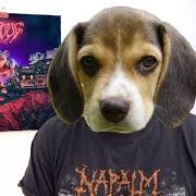 Woof. Woof.