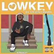 Il testo MANSION di STEVEN CANNON è presente anche nell'album Lowkey (2019)