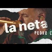 Il testo NI TAN NOVIOS, NI TAN AMIGOS di PEDRO CAPÓ è presente anche nell'album La neta (2022)