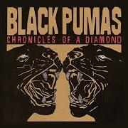 Il testo CHRONICLES OF A DIAMOND di BLACK PUMAS è presente anche nell'album Chronicles of a diamond (2023)