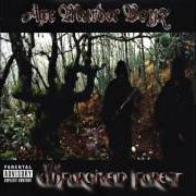 Il testo IMAGIN THIS degli AXE MURDER BOYZ è presente anche nell'album The unforgiven forest (2004)