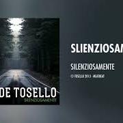 Il testo DUBLINO di DAVIDE TOSELLO è presente anche nell'album Silenziosamente (2013)