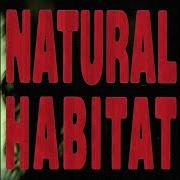 Il testo NATURAL HABITAT di 070 SHAKE è presente anche nell'album Natural habitat (2024)