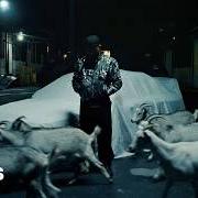 Il testo POLAROID di ELADIO CARRION è presente anche nell'album De chamaquito (2026)