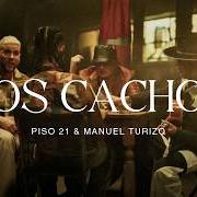 Il testo ENVICIAO di PISO 21 è presente anche nell'album Los muchachos (2023)