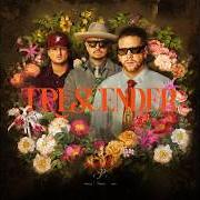 Il testo CUIDADO CON LO QUE PIDES di PISO 21 è presente anche nell'album Trescender (2026)