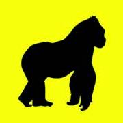 Il testo 4 DAISY di RUSOWSKY è presente anche nell'album Daisy (2025)