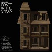 Foxes in the snow