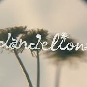 Il testo THE THREAD di WHITNEY è presente anche nell'album Small talk (2025)