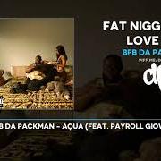 Il testo HONEY PACK (REMIX) di BFB DA PACKMAN è presente anche nell'album Fat niggas need love too (2021)