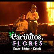 Il testo AMIMA di NANPA BÁSICO è presente anche nell'album Cariñitos y flores (2025)