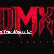 Il testo WHAT YOU WANNA DO di DMX è presente anche nell'album Undisputed (2012)