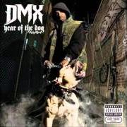 Il testo WRONG OR RIGHT (I'M TIRED) di DMX è presente anche nell'album Year of the dog... again (2006)