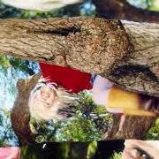 Il testo IF YOU LOVE ME... di SALEM ILESE è presente anche nell'album Growing down (2025)