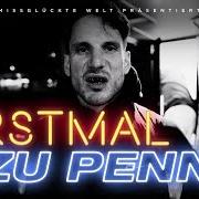 Il testo ICH HASSE ES di SWISS & DIE ANDERN è presente anche nell'album Erstmal zu penny (2023)