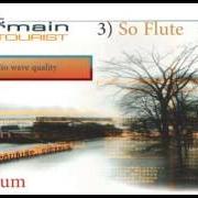 Il testo WHAT YOU THINK ABOUT ... di ST. GERMAIN è presente anche nell'album Tourist (2000)