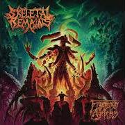 Il testo VOID OF DESPAIR di SKELETAL REMAINS è presente anche nell'album Fragments of the ageless (2024)