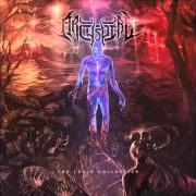 Il testo FATHOM INFINITE DEPTH di ARCHSPIRE è presente anche nell'album The lucid collective (2014)