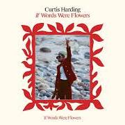 Il testo WHERE'S THE LOVE di CURTIS HARDING è presente anche nell'album If words were flowers (2021)