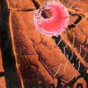 Il testo A STRANGE BLINDNESS di ABAXIAL è presente anche nell'album Samsara (1994)