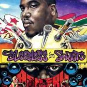 Il testo LAST DAYZ di ASHERU è presente anche nell'album Sleepless in soweto instrumenta (2013)