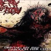 Il testo BEAT THE FUCK OUT OF THAT WORTHLESS BITCH di ARTERY ERUPTION è presente anche nell'album Driving my fist through her chest (2009)