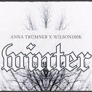 Il testo ALLEIN di ANNA TRÜMNER è presente anche nell'album Winter (2021)