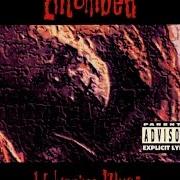 Il testo HOLLOWMAN degli ENTOMBED è presente anche nell'album Wolverine blues (1993)