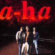 Il testo LIE DOWN IN DARKNESS degli A-HA è presente anche nell'album Memorial beach (1993)