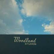 Il testo THE BELLS AND THE BIRDS di GILLIAN WELCH è presente anche nell'album Woodland (2024)