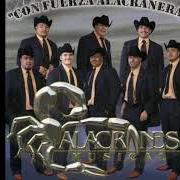 Il testo POR QUIEN ME DEJAS degli ALACRANES MUSICAL è presente anche nell'album Por siempre (2010)