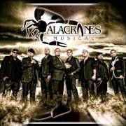 Il testo ROMAN IRIARTE degli ALACRANES MUSICAL è presente anche nell'album Puros corridos venenosos (2006)
