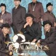 Il testo YA PARA QUE degli ALACRANES MUSICAL è presente anche nell'album Nuestra historia y algo más (2005)