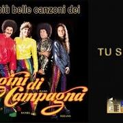 Il testo NICOLE dei CUGINI DI CAMPAGNA è presente anche nell'album Tu sei tu (1977)