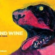 Il testo HOUSE BY THE SEA di IRON & WINE è presente anche nell'album The shepherd's dog (2007)