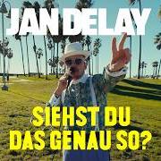 Il testo GRÜN WEISSE LIEBE di JAN DELAY è presente anche nell'album Siehst du das genau so? (2024)