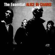 Il testo THEM BONES degli ALICE IN CHAINS è presente anche nell'album Greatest hits (2001)