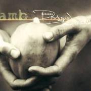 Il testo LEARN di LAMB è presente anche nell'album Between darkness and wonder (2003)