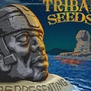 Tribal Seeds