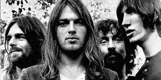Pink Floyd: ricercatori chiamano nuova specie di gambero "pinkifloydi"